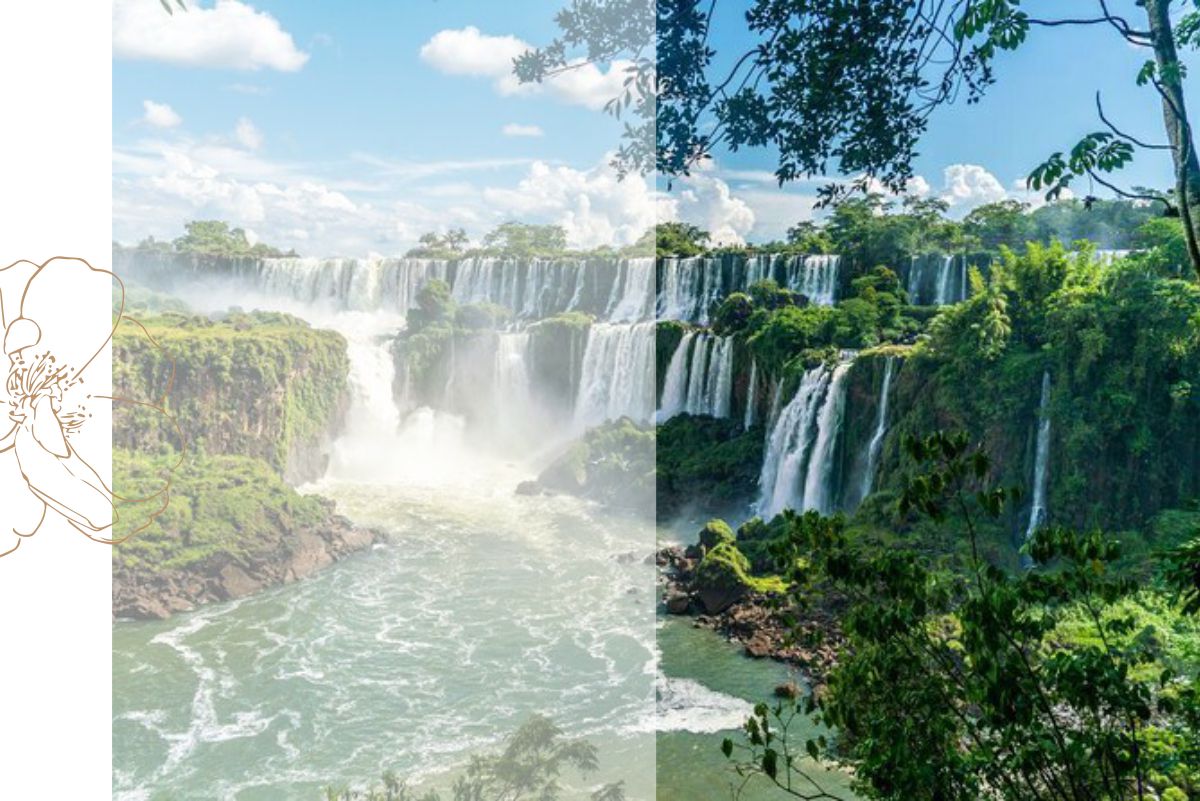 Repatriacion-De-Restos-Humanos-Cataratas-Del-Iguazu-Casa-Cordoba