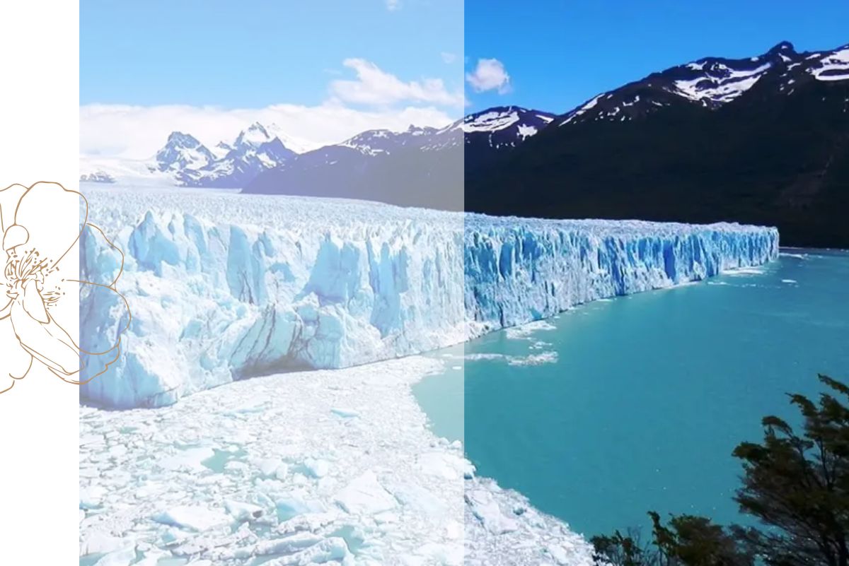 Repatriacion-De-Restos-Humanos-Glaciar-Perito-Moreno-Casa-Cordoba