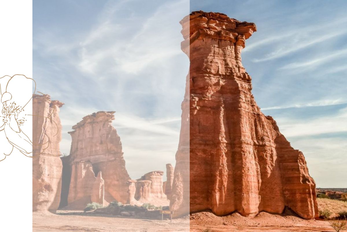 Repatriacion-De-Restos-Humanos-Parque-Nacional-Talampaya-Casa-Cordoba