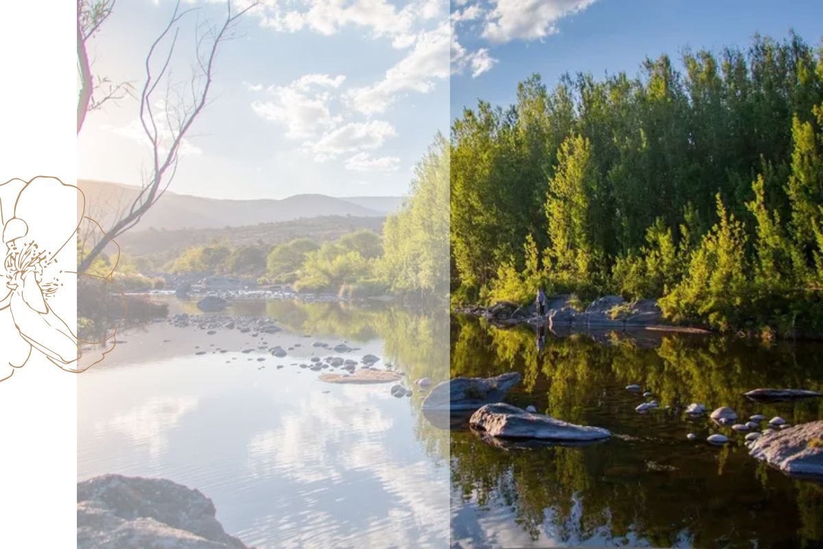 Repatriacion-De-Restos-Humanos-Sierras-De-Cordoba-Casa-Cordoba
