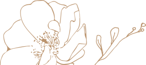 Servicios-Funerarios-Casa-Cordoba-Flores-Doradas-Casa-Cordoba